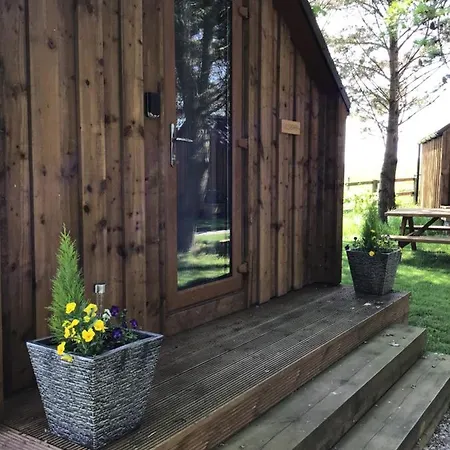 Cow Close Pods Kemping