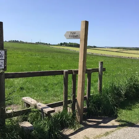 Kemping Cow Close Pods