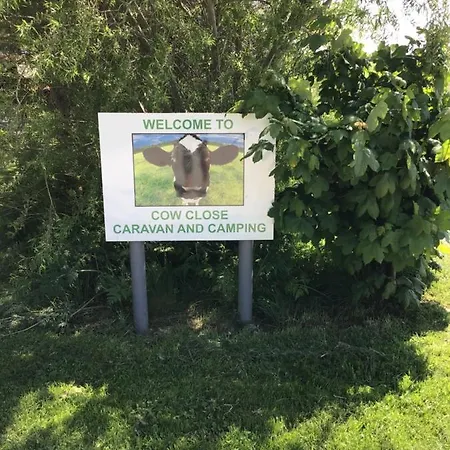 Cow Close Pods Campeggio Leyburn