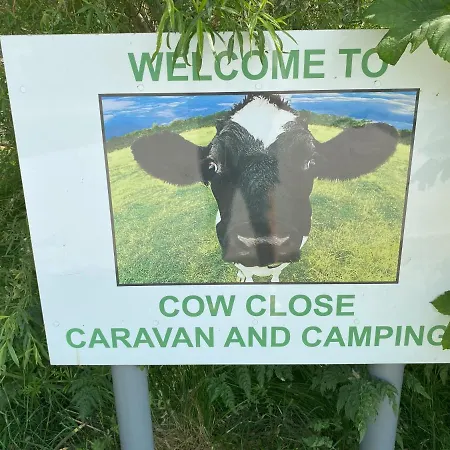 Cow Close Pods