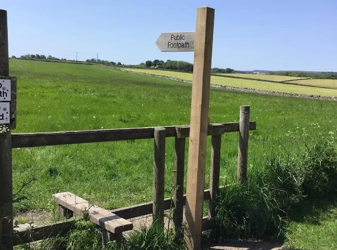 Campsite Cow Close Pods