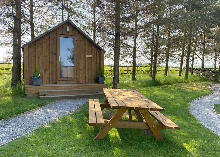 Campsite Cow Close Pods *