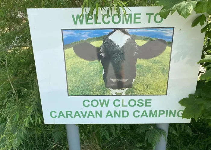 Cow Close Pods